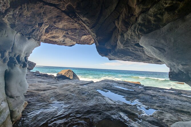 Sydney City Tour | Bondi, Opera House, Bridge & Highlights - Sydney Fish Market provides the main food and market break