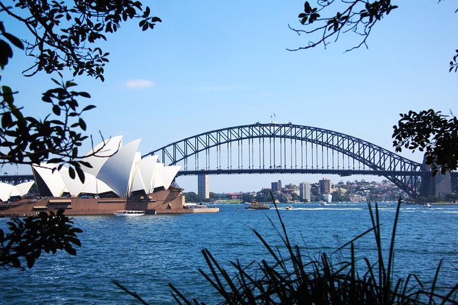 Sydney Half Day Private Tour: See Sydney Opera House and Bondi - Sydney Opera House: 30 minutes for the famous sails