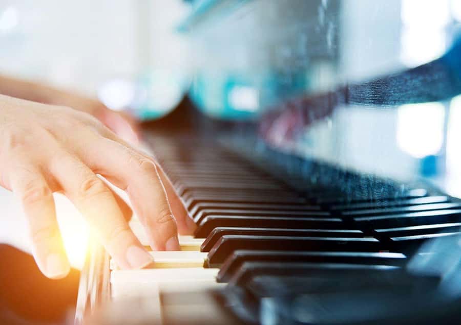 Sydney Harbour: 3-Hour Lunch Cruise with Live Music - A 75-minute buffet lunch with real variety