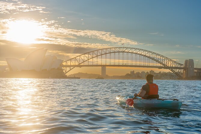 Sydney LED Lit Kayak Tour of the Opera House and Bridge - Key points to know before you book