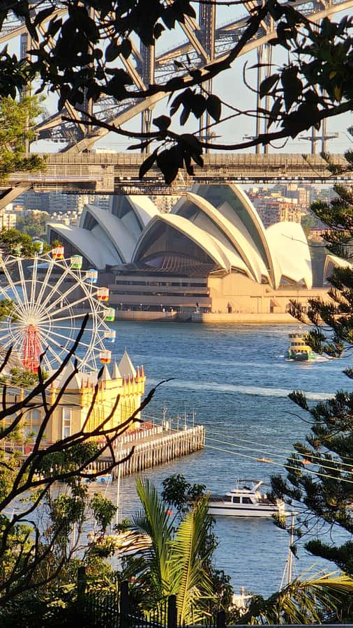 Sydney: Opera & Harbour Bridge Small-Group Kayak Tour - The first paddle from Lavender Bay