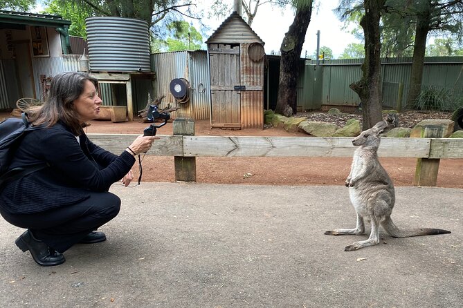 Sydney Opera House and Aussie Animals Private Tour - Key points at a glance