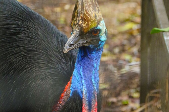 Sydney Opera House and Aussie Animals Private Tour - The private guide makes the transfer useful