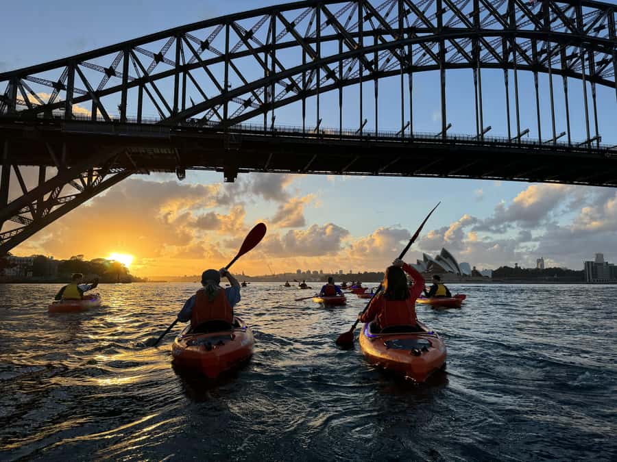 Sydney: Sunrise Kayak, Opera House & Under Harbour Bridge - The Opera House viewpoint from a kayak