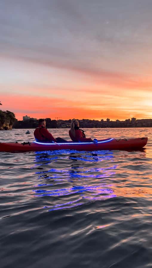 Sydney: Sunrise Kayak, Opera House & Under Harbour Bridge - Under the Harbour Bridge and the main photo stop