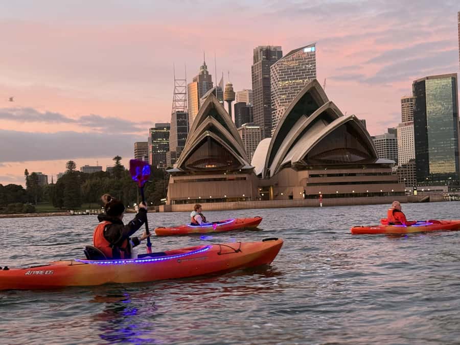 Sydney: Sunrise Kayak, Opera House & Under Harbour Bridge - Breakfast and coffee at Flying Bear Cafe