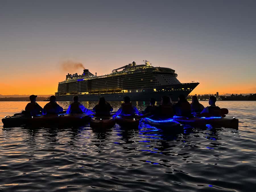 Sydney: Sunrise Kayak, Opera House & Under Harbour Bridge - Photos and video: a useful extra, not just decoration