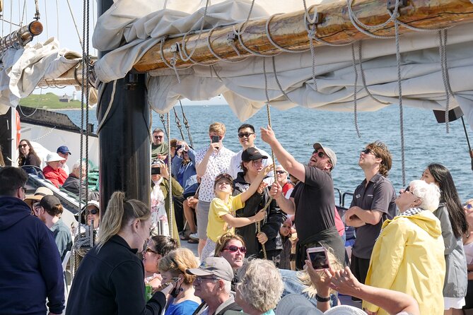 Tall Ship Silva Sailing Cruise Ft. a Live Musician - Seeing Halifax from the Harbour Bridge
