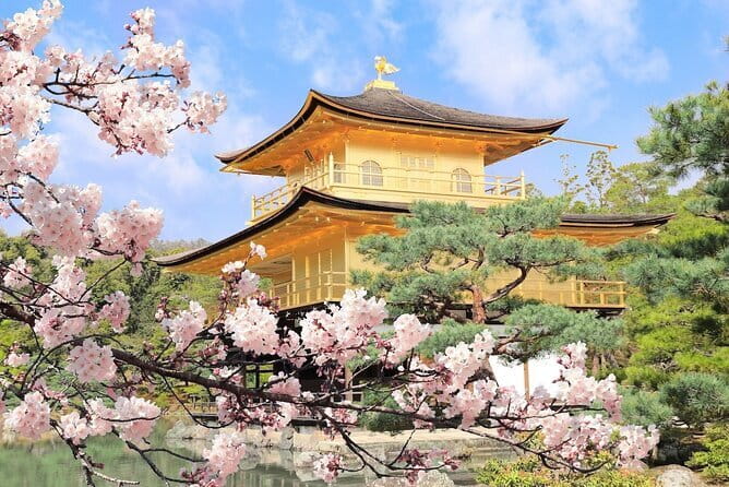 Traditional Japanese Music show & Experience Tour in Osaka - What the small group means for your visit