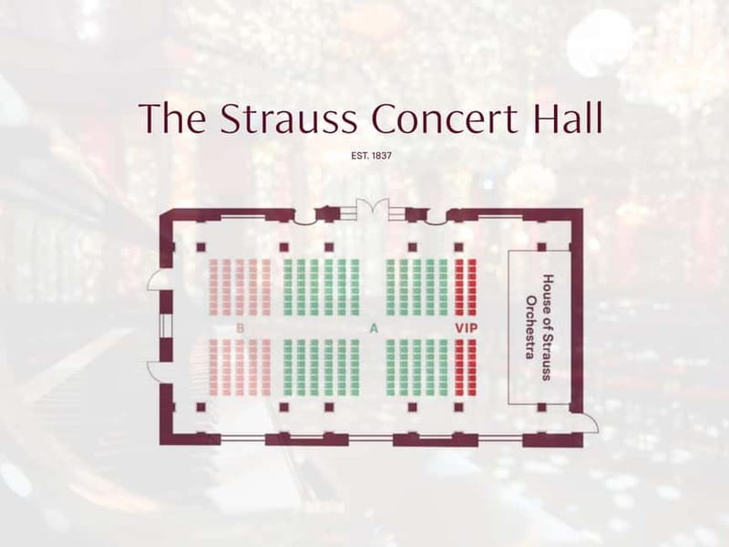 Vienna: Classical Concert in the historic 1837 Strauss-Hall - Seating, timing, and the shape of the evening