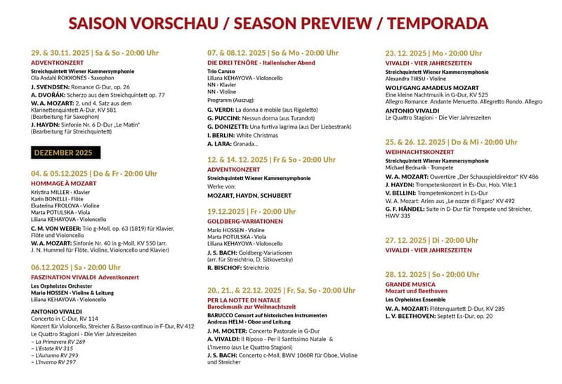 Vienna: Classical Concerts in the Minorite Church Ticket - Musicians and the close-up advantage