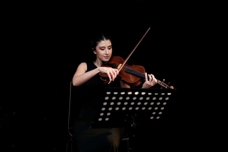 Vienna: Classical Masters Concert at Haus der Musik - The one-hour format works well
