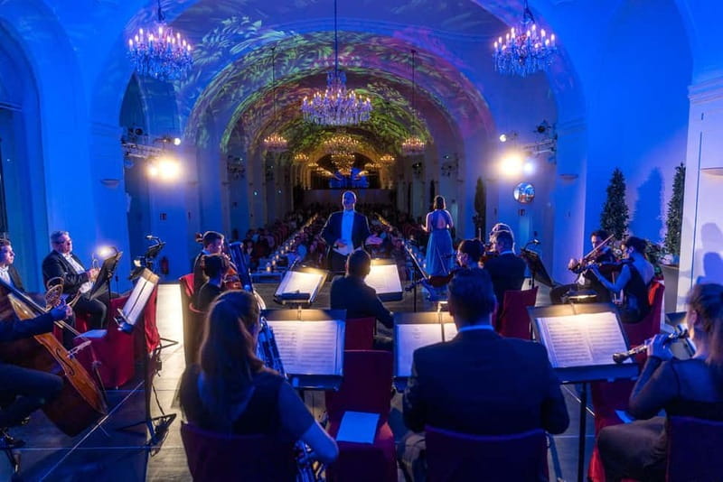 Vienna: Dinner & Concert at Schönbrunn Palace - Inside Schönbrunn Orangery at 8:00 PM