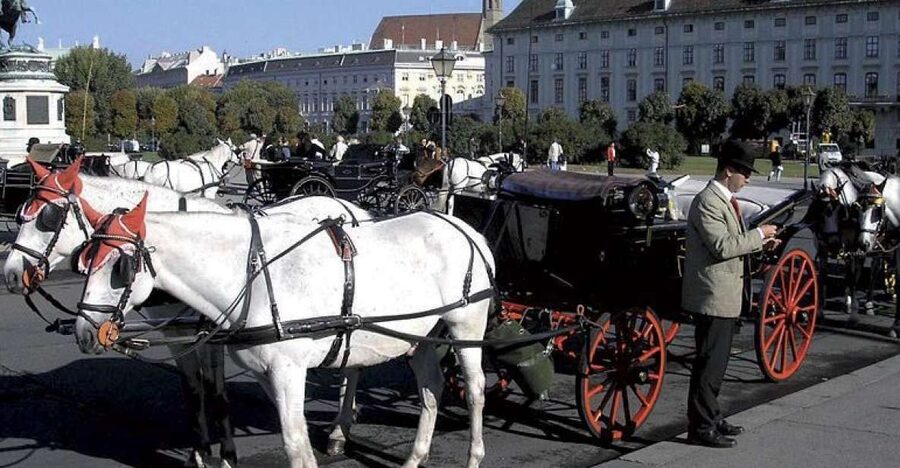 Vienna: Mozart Concert with Dinner and Carriage Ride - Choosing Among Vienna’s Three Concert Venues