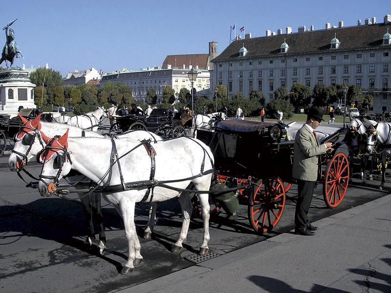 Vienna: Mozart Concert with Dinner and Carriage Ride - Is $443 a Fair Price?