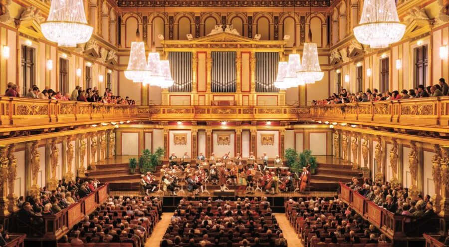 Vienna: Mozart Concert with Dinner and Carriage Ride - Practical Details Before You Reserve