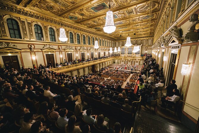 Vienna Mozart VIP Package: Concert, Dinner and Carriage Ride - Arriving at the Musikverein with help