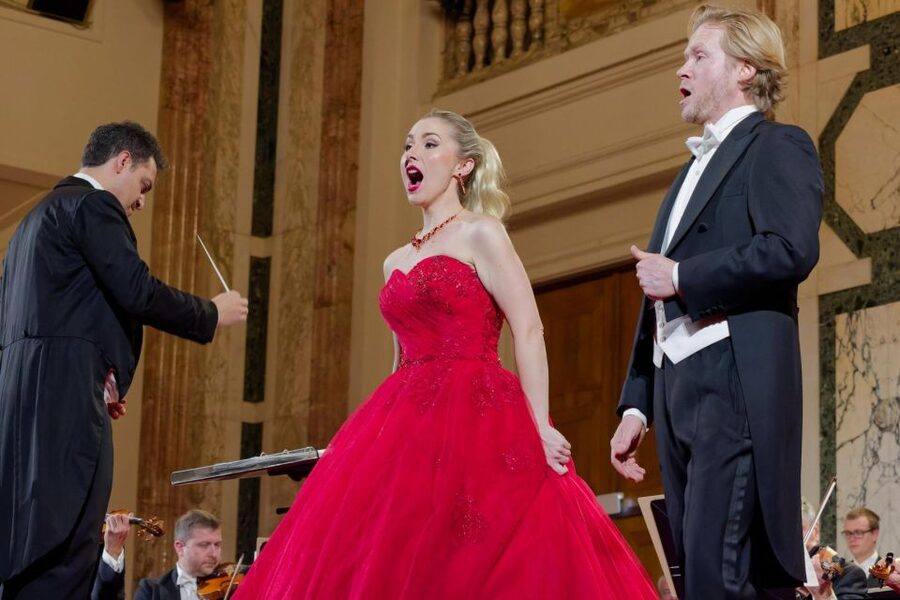 Vienna: Strauss and Mozart Concert at Hofburg Palace - Practical details to check before you go