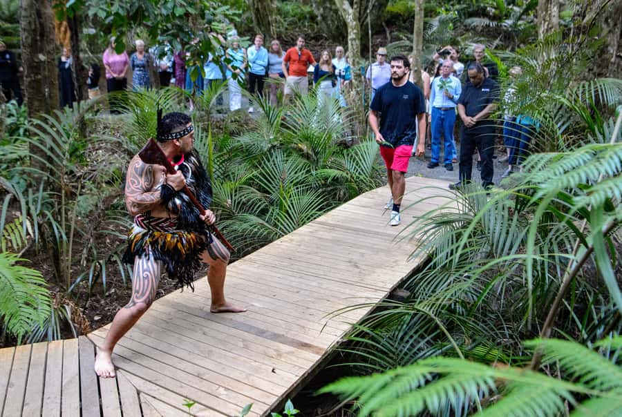 Waitangi: Treaty Grounds Hāngī and Concert Combo Pass - Seeing the hāngī come out of the ground